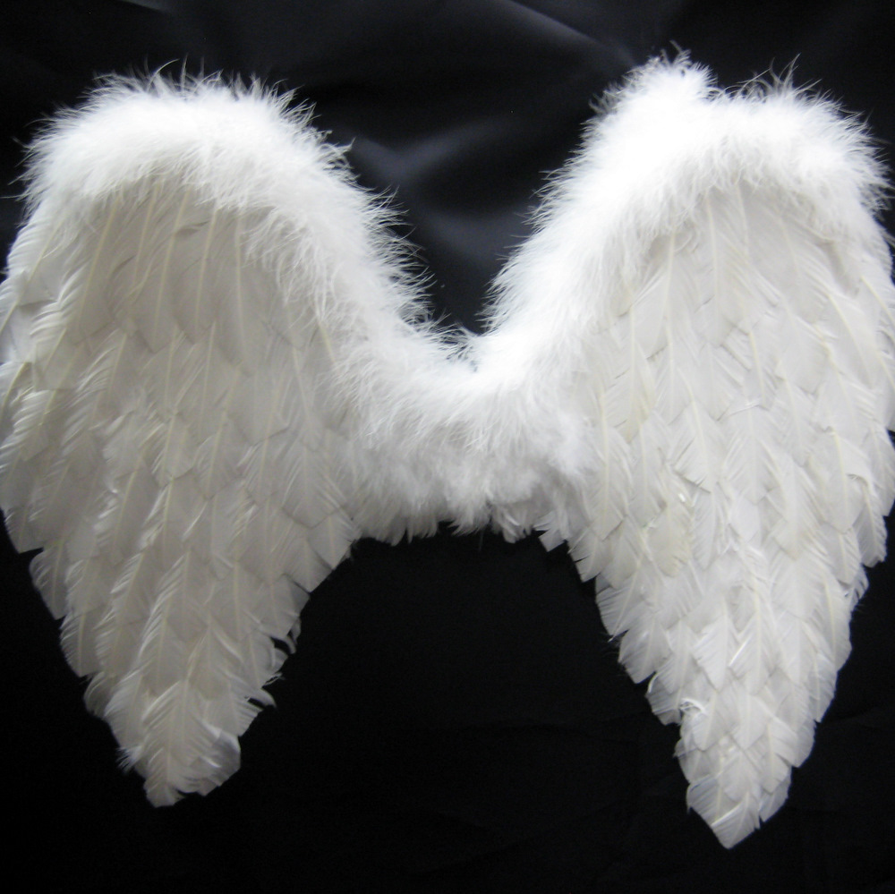 angel wings feather